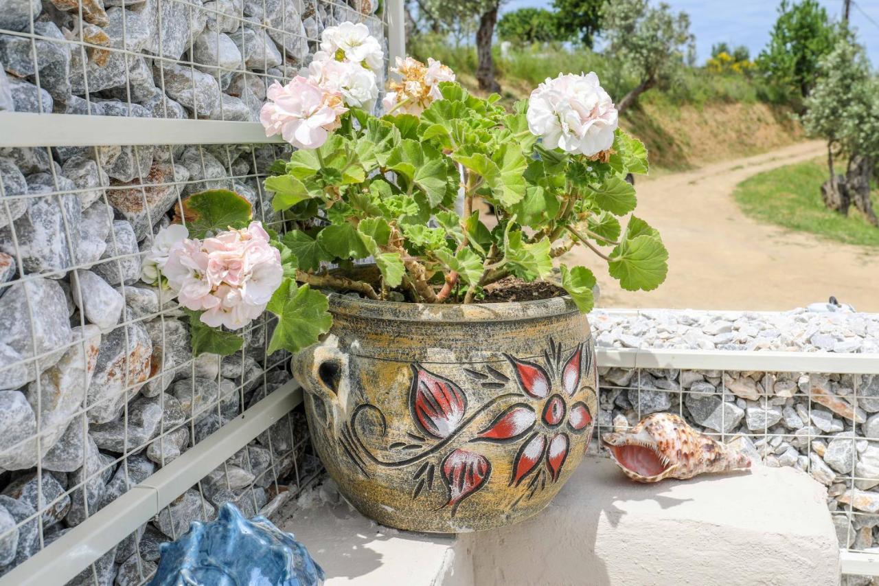 Casa Rozana - Skiathos Εξωτερικό φωτογραφία